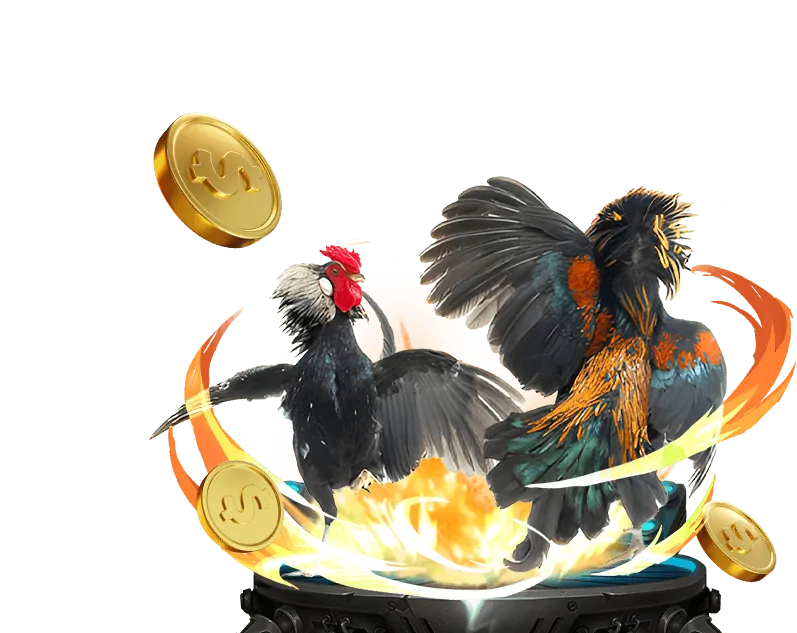 Khuyến mãi đá gà độc quyền AE888